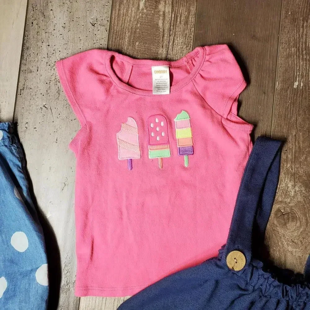 Carter's & Gymboree Baby Toddler Girl Clothing Bundle Size 24M 2T